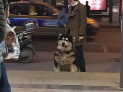 -万利隆·活力烘焙(人民路店)