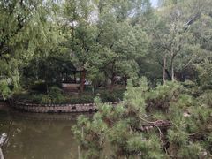 -上海醉白池公园