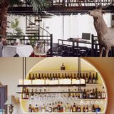 南京周边游🌳自驾1h就能到🚙去森林里吸吸氧