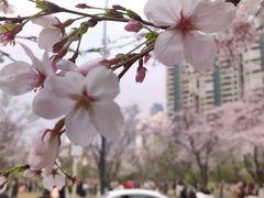 -西北湖绿化广场