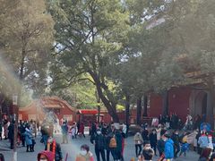 -南岳衡山风景名胜区-南岳大庙