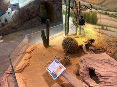 -正佳雨林生态植物园