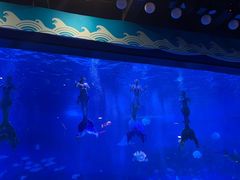 -烟台海昌鲸鲨海洋公园