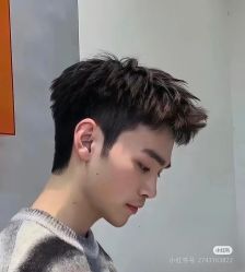 -YESIDO椰岛造型