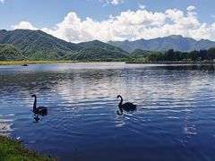 -大九湖