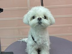 -FAELING PETS美天灵宠物(合生汇店)