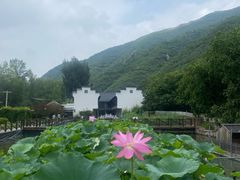 -荷塘味道(水长城店)