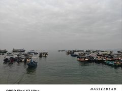 -深圳海钓·深圳钓鱼·拓展聚会鱼排