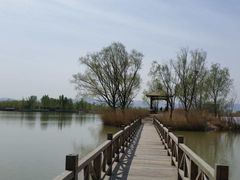 -野鸭湖国家湿地公园