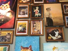 -猫咪博物馆(顶澳仔猫街店)