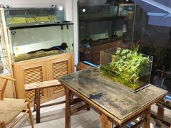 -甜心闲生传统手工冰粉(奎星楼店)