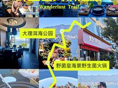 -野菌皇海景野生菌火锅(滨海大道店)
