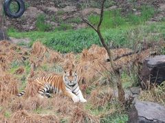 -宁波野生动物园