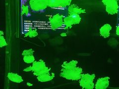 -多彩贵州城极地海洋世界