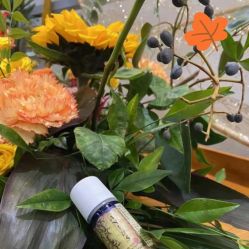 点击看大图 -芳香乐府疗愈空间·SPA·冥想