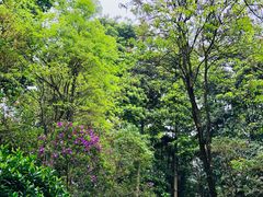 -云溪植物园