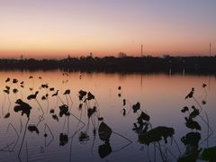 -东湖落雁景区