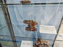 -中国第四纪冰川遗迹陈列馆