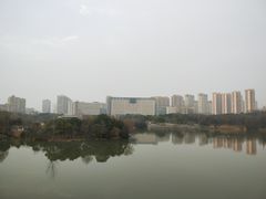 -青枫公园