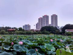 -肯德基(泉州东街店)