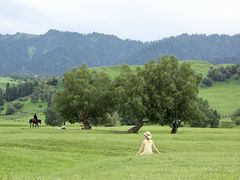 -新疆那拉提国家旅游度假区