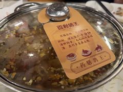 -百利鸽王(紫薇路店)