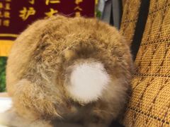 -雨林宠物医院 非犬猫异宠专科