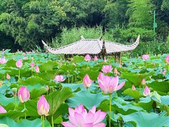 -兰亭风景区