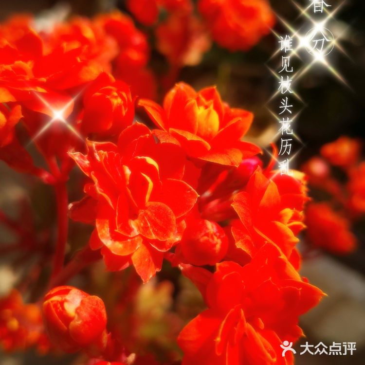 据说这两款甜品在澳门可是齐名的哦！那么搭配着一起吃