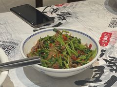 -壹盏灯(惠农店)
