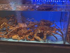 -阿伟海鲜楼·福建菜(延寿店)