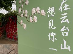 -云台山风景名胜区