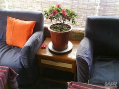 -南京夫子庙国际青年旅舍(平江府路店)