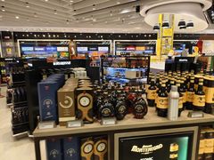 -米兰马尔彭萨国际机场