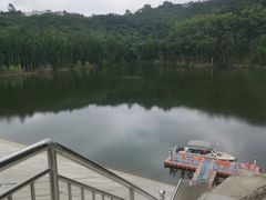 -阳台山森林公园