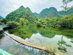 -靖西鹅泉风景区