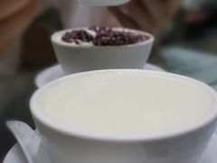 姜撞奶-义顺牛奶公司(新马路老店)