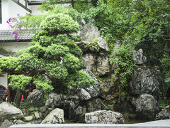 -郫都区农科村景区
