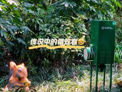 -成都市活水公园