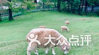 六甲山牧场 电话 地址 价格 营业时间 图 神户 六甲山牧场 电话 地址 价格 营业时间 图 神户