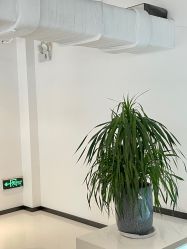 -I+造型烫发染发