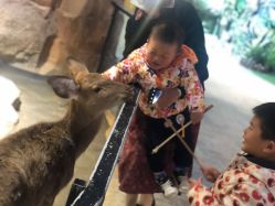 -酷嗒动物文化乐园(cutezoo西溪乐天城店)