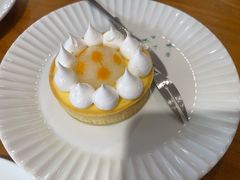 -猫里有甜