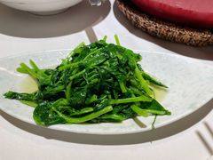 清炒豌豆尖-渝信川菜(西单店)