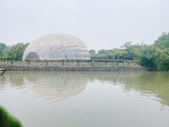 -上海吴淞炮台湾国家湿地公园