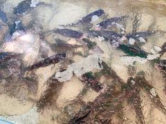 -姥家大锅台水库渔家