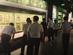 -四川大学博物馆