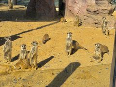 -茅山东方盐湖城景区