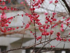 -东林广场(地铁站)