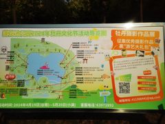 -莲花池公园
